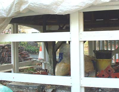 Woodmansterne  Lane side - close up